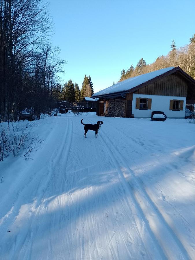 Huettenzauber Ferienwohnung Mitten Im Nationalpark Lindberg Eksteriør billede