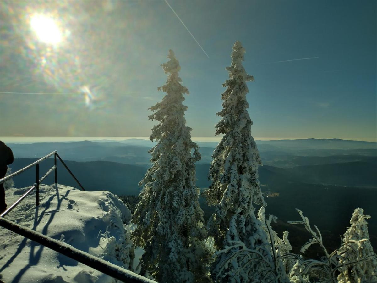 Huettenzauber Ferienwohnung Mitten Im Nationalpark Lindberg Eksteriør billede