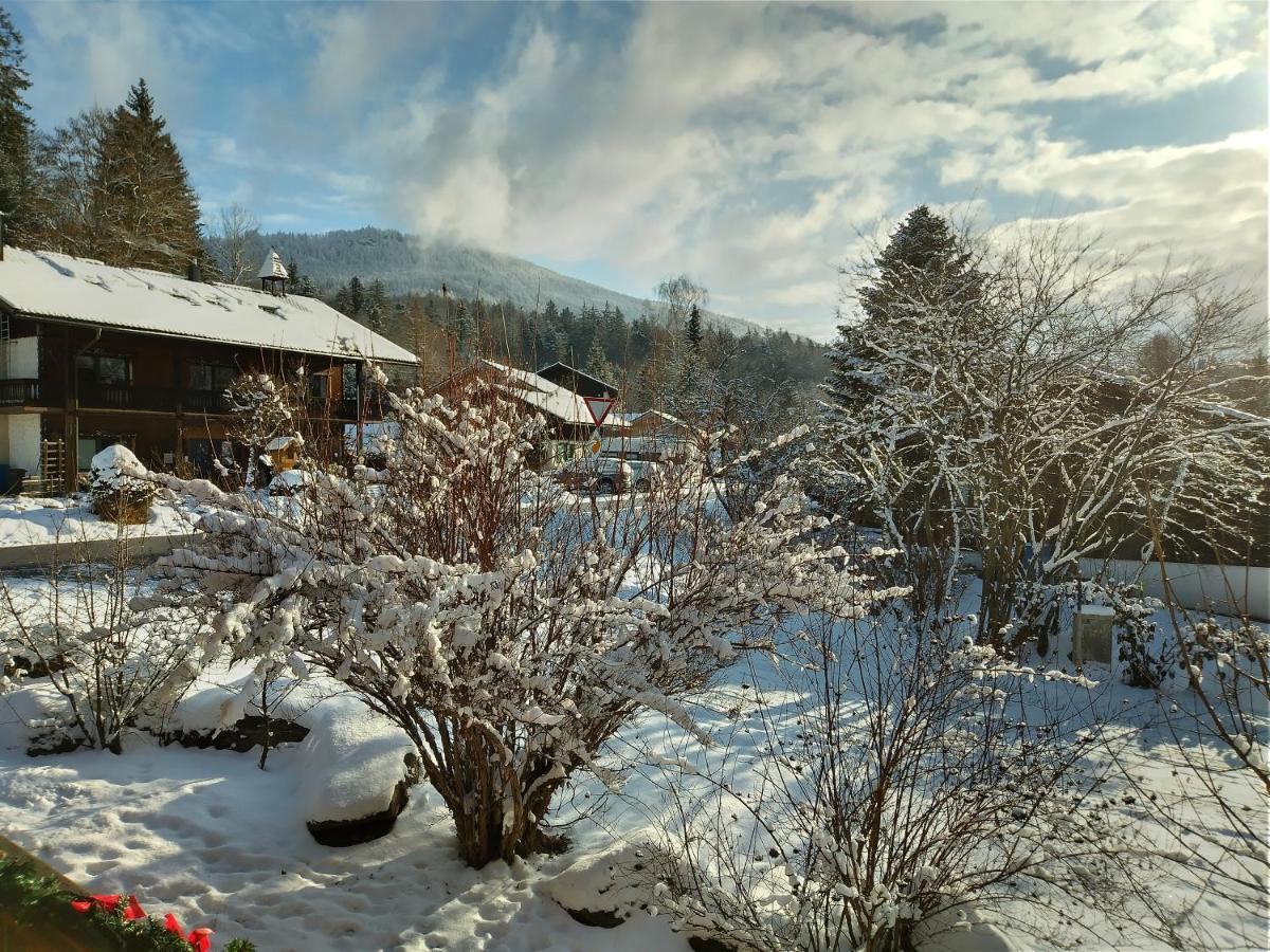 Huettenzauber Ferienwohnung Mitten Im Nationalpark Lindberg Eksteriør billede